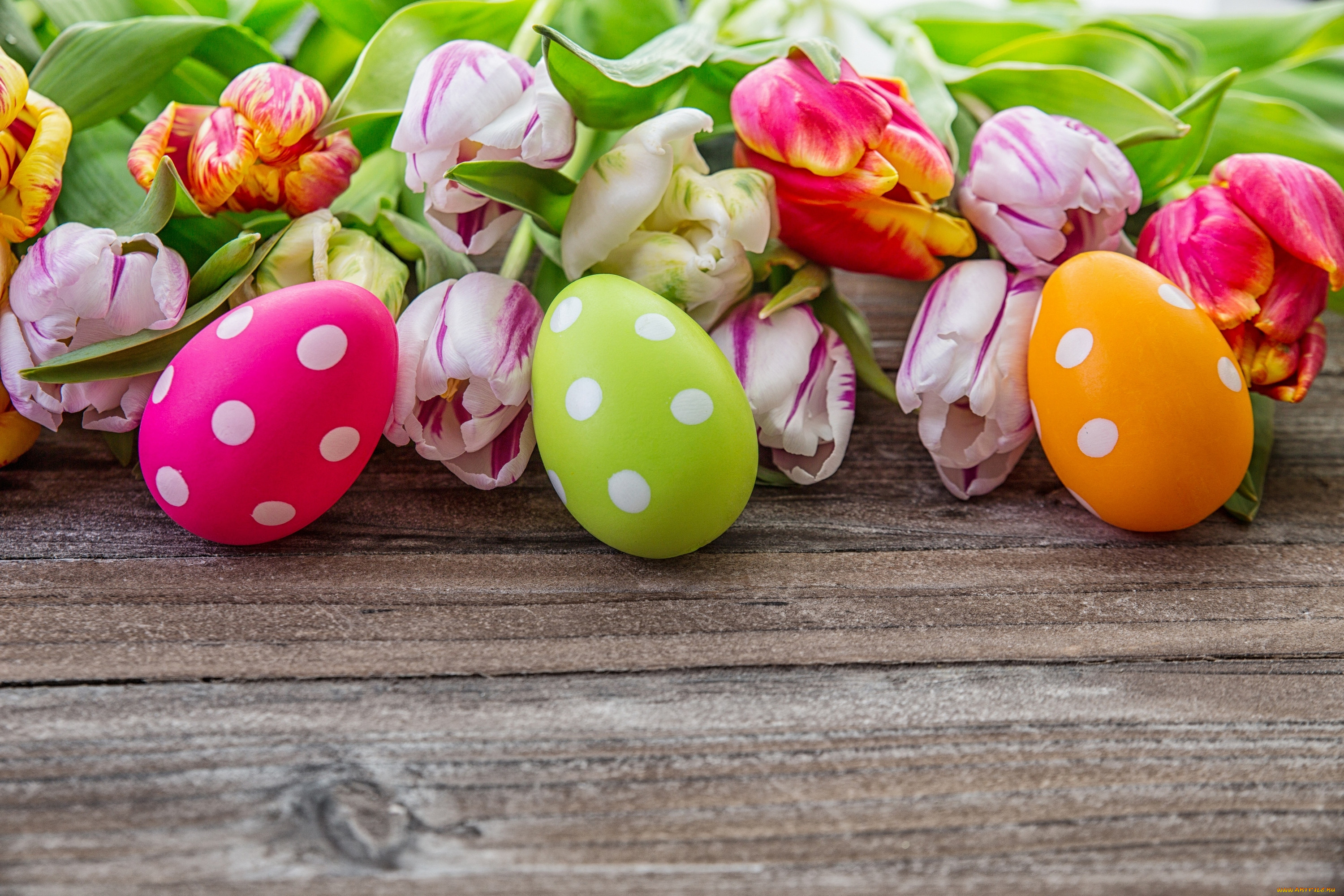 , , , , easter, happy
